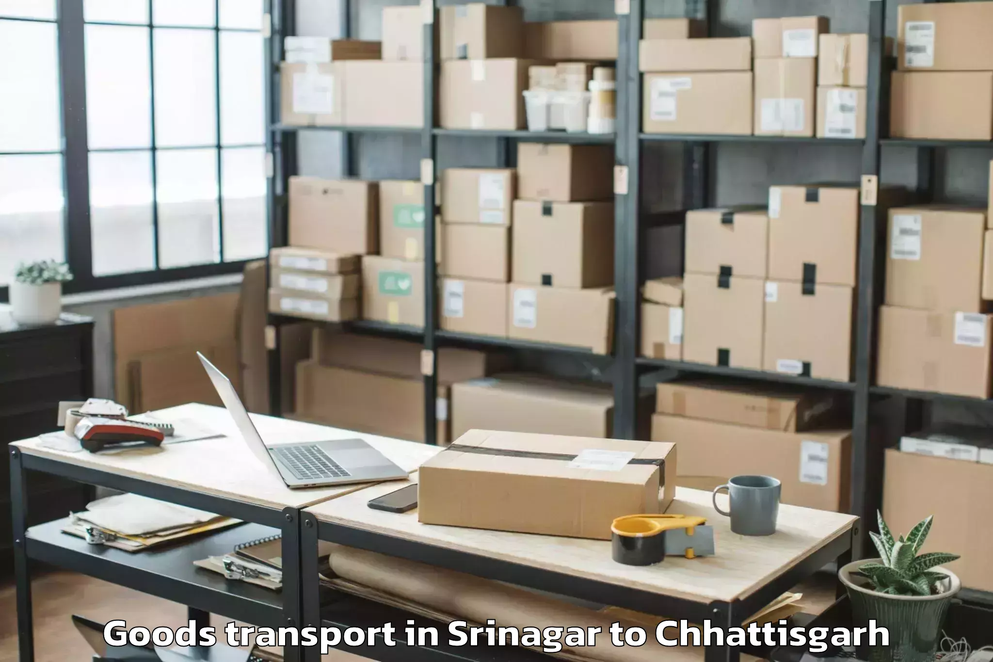 Professional Srinagar to Chhindgar Goods Transport